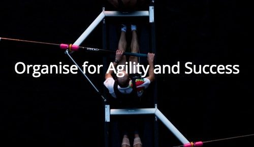 Company organisation for Innovation, Agility and Success